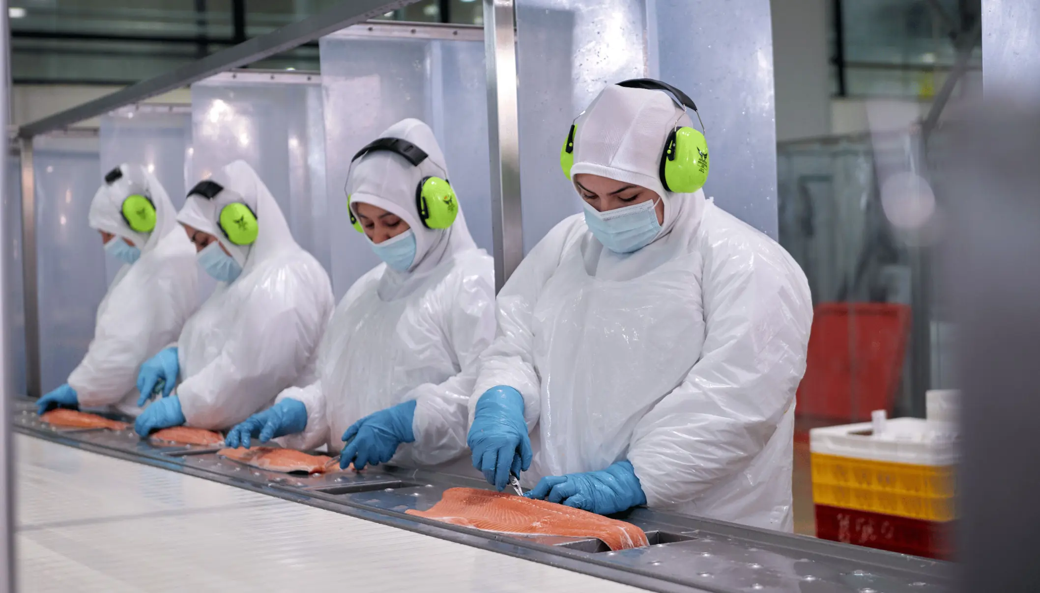 SALMON